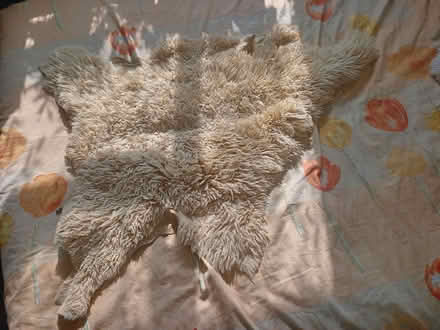 Photo of free Sheepskin (Rose Hill OX4) #2