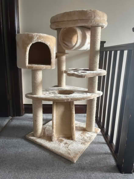 Photo of free Cat Tower (Chesham HP5) #1