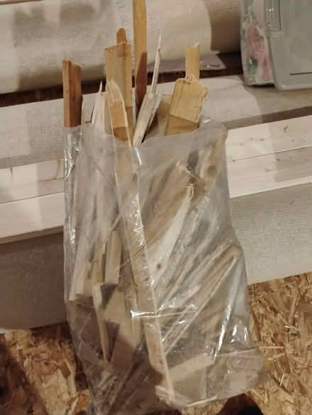 Photo of free Kindling for camp fires (Richmond Hill) #2