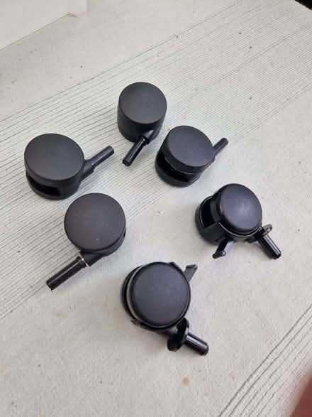 Photo of free Castors (Old Town HP2) #2