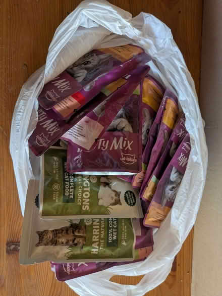 Photo of free cat food pouches (Hollingbury BN1) #1