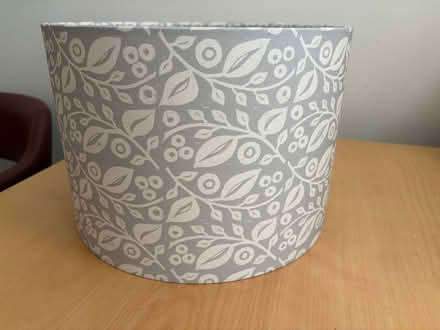 Photo of free Lampshade (Whiteshill GL6) #1