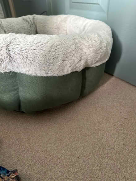 Photo of free Cat bed #2 (Rothley) #2