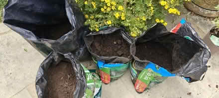 Photo of free Compost and Soil (Wickham PO17) #2
