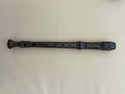 Photo of free School recorder (Milton PO3) #1