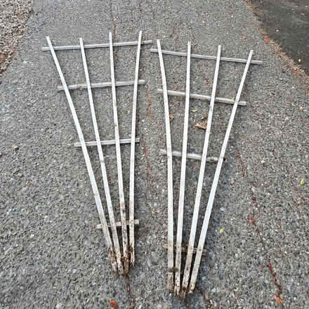 Photo of free 2 Garden trellises (94041) #1