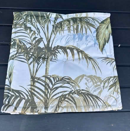 Photo of free Garden cushions (Shaldon TQ14) #1