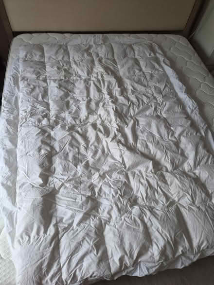 Photo of free Double mattress topper- feather (SE15) #3