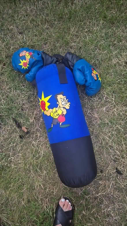 Photo of free Kids boxing bag and gloves (Bray.Meath Road) #1