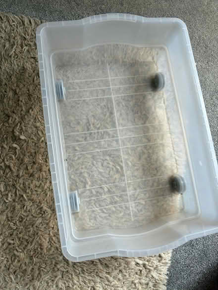 Photo of free Storage box with wheels (Bordon GU35) #1