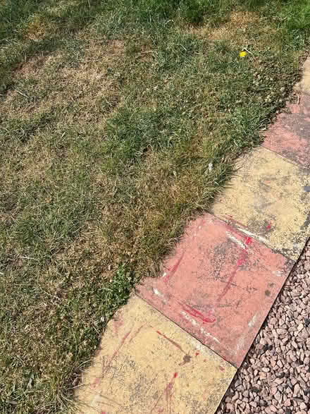 Photo of free Manual rotary lawn edger (Bromsgrove B61) #3