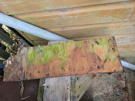 Photo of offcut - OSB (Risinghurst OX3) #1