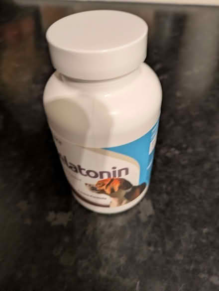 Photo of free Melatonin for Dogs (Hollingbury BN1) #1