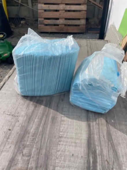 Photo of free Puppy pads (Fairlands, Guildford) #1