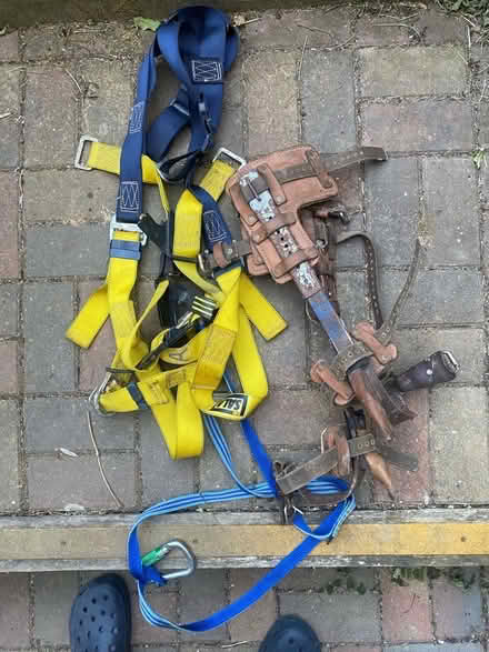 Photo of free Tree spikes and harness (Blacklands TN34) #1