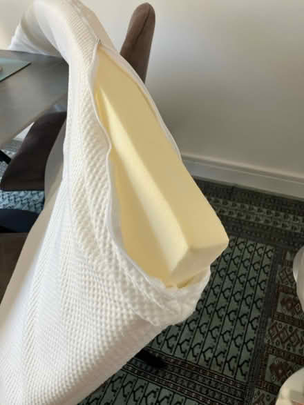 Photo of free Single bed mattress toppers (Torridge District EX39) #4