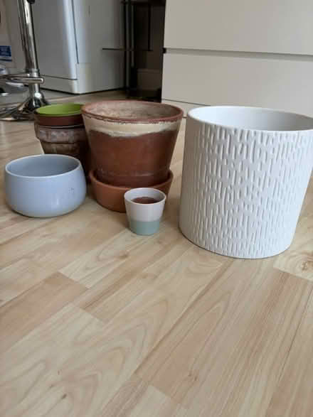 Photo of free Plant pots (SW10) #4