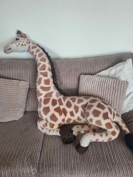 Photo of free Large cuddly giraffe (Ramsgate CT11) #3