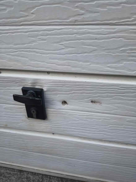 Photo of free Garage door (Street BA16 0QP) #2