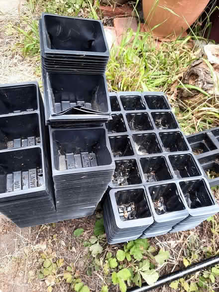 Photo of free Garden bits and pieces (Hollingdean BN1) #4