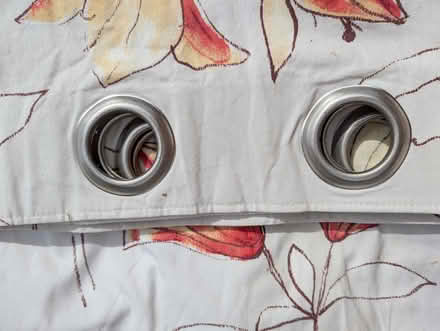Photo of free Curtains (Salph End MK41) #2