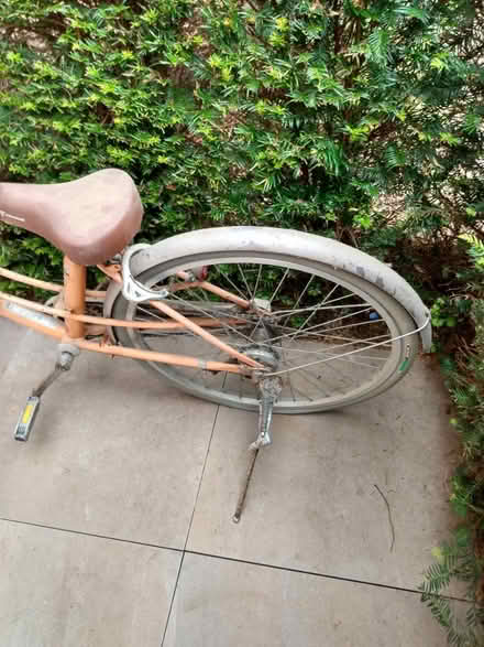 Photo of free Bike (noble park epsom surrey KT19) #2