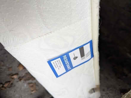 Photo of free Sealy single bed base on castors (Bents Green S11) #4