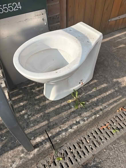 Photo of free Toilet (planter?) (Abingdon OX14 2DQ) #1