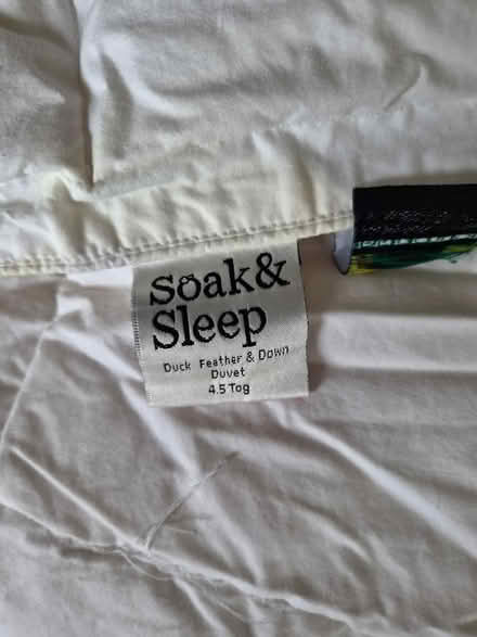 Photo of free 4.5 tog feather Double Duvet (SE15) #1