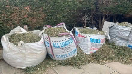 Photo of free Wood chip (Willington street, Senacre) #1