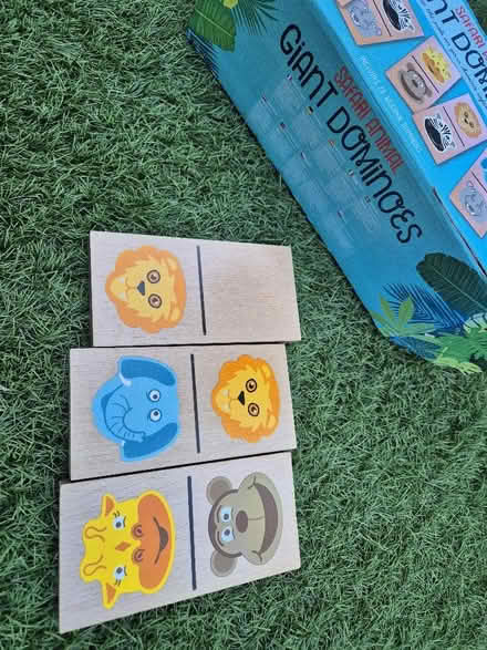 Photo of free Giant wooden dominoes (Seaside BN22) #1