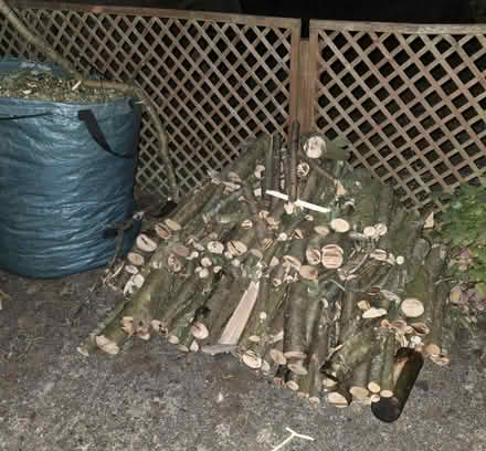 Photo of free Logs (Godstone Surrey RH9) #2