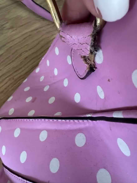 Photo of free Pink polka dot bag broken strap (Sherwood TN2) #3