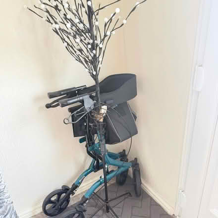 Photo of free Tree lights (Harwell OX11) #1