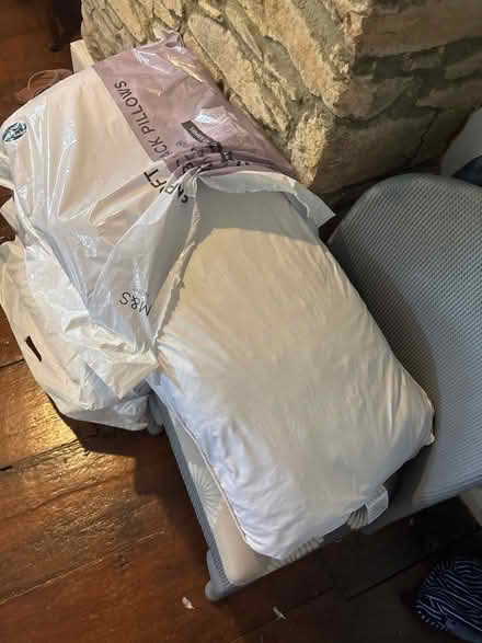 Photo of free 8x feather pillows (Totnes TQ9) #1