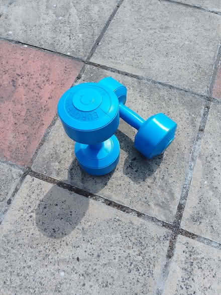 Photo of free Blue Dumbbells 4.5k weight (Bexhill TN39) #1