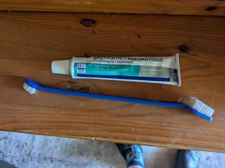 Photo of free Dog Toothbrush and Toothpaste chicken flavored. (Hollingbury BN1) #1