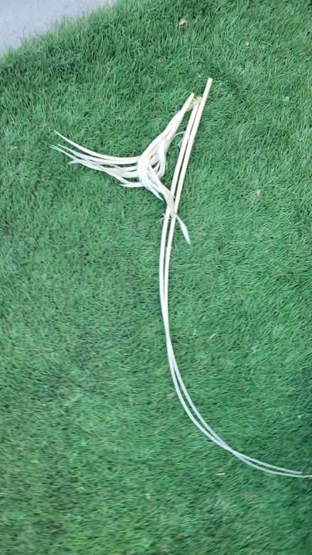 Photo of free Hat-Smart Summer Dress Hat (Northcote Road SW11) #2