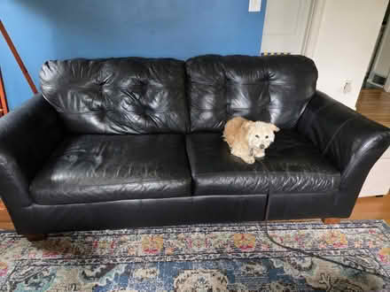 Photo of free Couch (Milwaukie, Ardenwald) #1