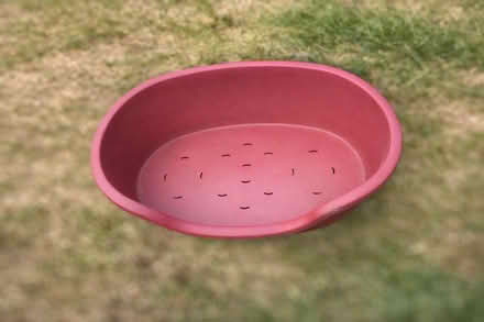Photo of free Dog Bed (Cliffsend CT12) #1