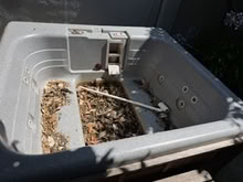 Photo of free jacuzzi (Sunnyvale, near Mary & Evelyn) #1