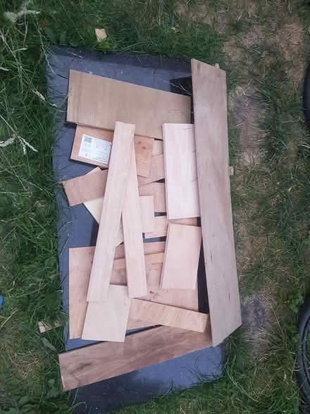 Photo of free Lots of ply offcuts (S11, Hunters Bar) #1