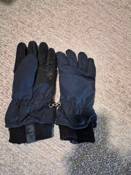 Photo of free Winter gloves (St.Louis Park) #1