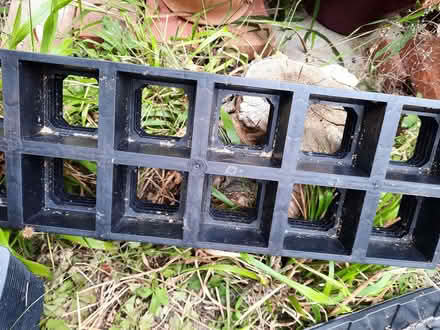 Photo of free Garden bits and pieces (Hollingdean BN1) #4