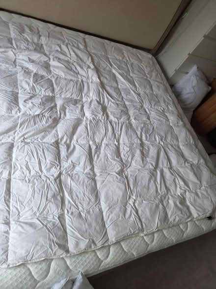 Photo of free 4.5 tog feather Double Duvet (SE15) #2