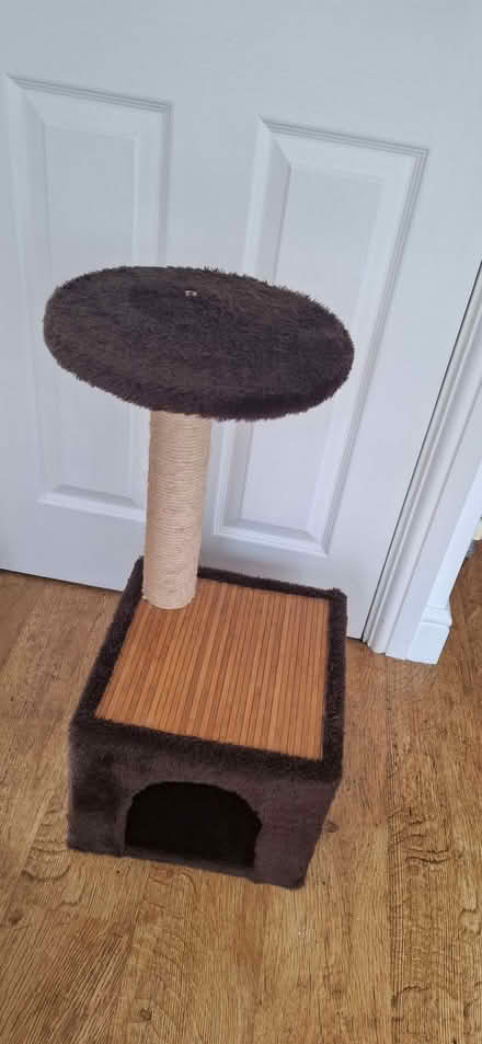 Photo of free Cat scratching posts (Tiptree CO5) #1