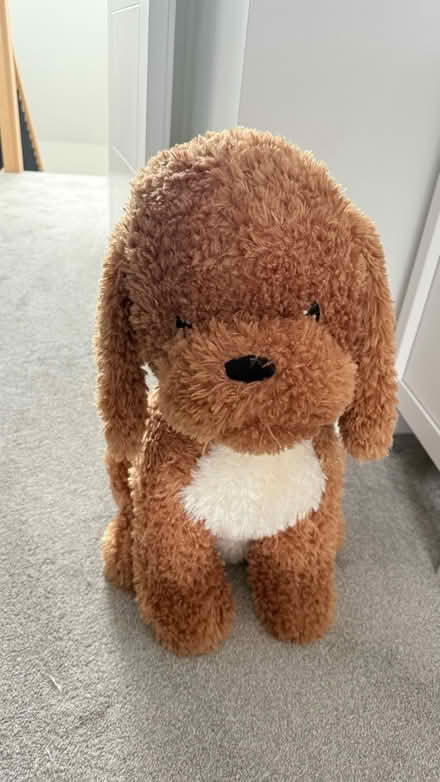 Photo of free Large Kids Dog Teddy (Kingswood KT20) #2