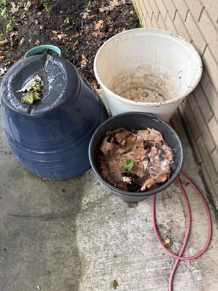 Photo of free Plastic Planting pots & dirt (S. Evergreen St. at Linden St) #1