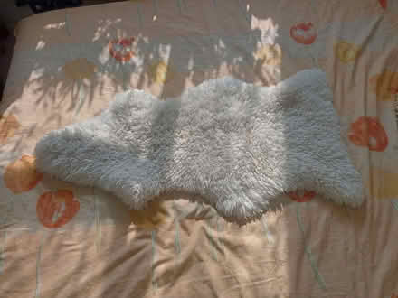 Photo of free Sheepskin (Rose Hill OX4) #1
