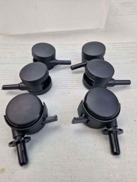Photo of free Castors (Old Town HP2) #1